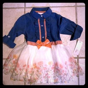 Little Lass Floral Chambray Tulle Dress 24M
